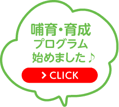 哺育・育成プログラム始めました♪